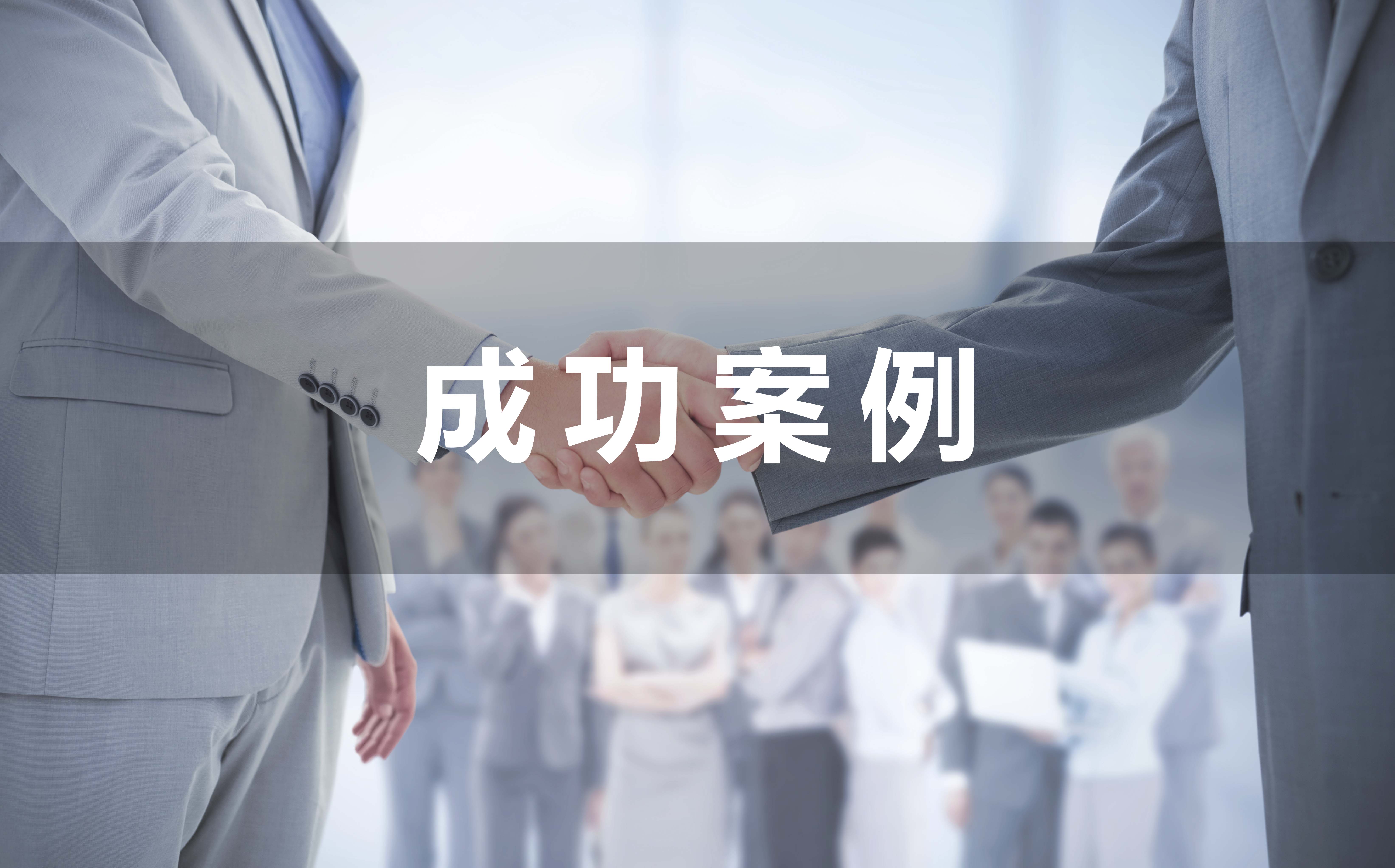 成功案例
